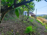 Casa para reformar con vistas a la ría pontedeume