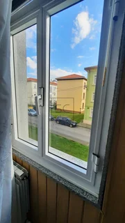 Primera planta en caranza