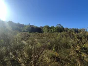 Terreno urbano industrial