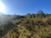 Terreno urbano industrial