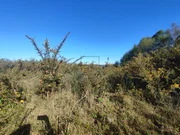 Terreno urbano industrial