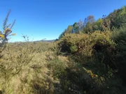 Terreno urbano industrial