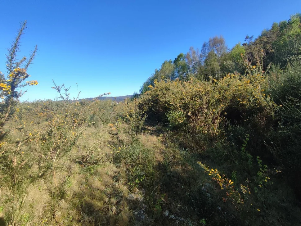 Terreno urbano industrial