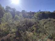 Terreno urbano industrial