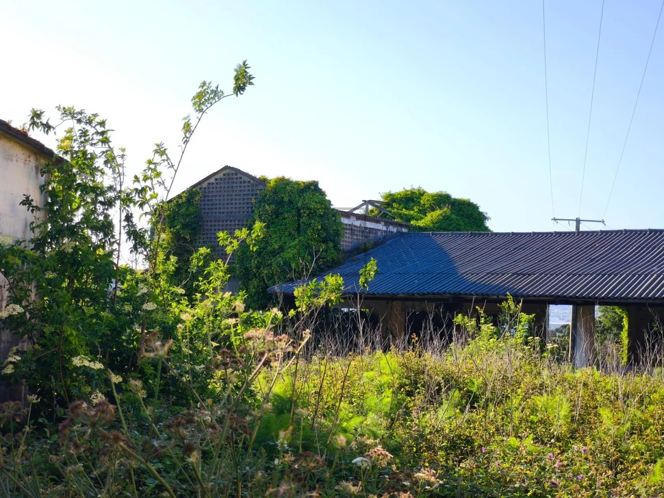 Suelo urbano consolidado en maniños-fene