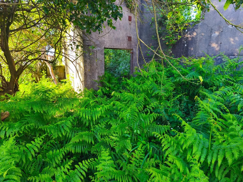 Suelo urbano consolidado en maniños-fene