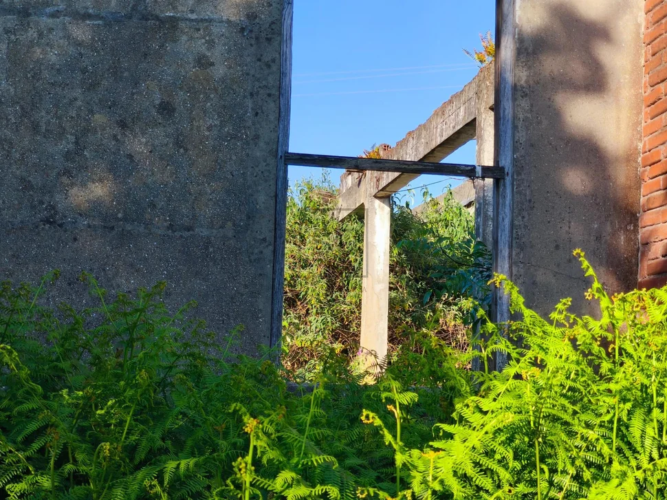 Suelo urbano consolidado en maniños-fene