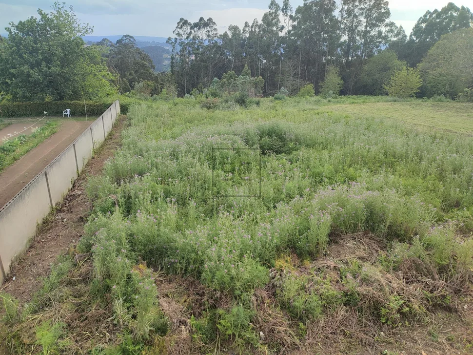 Chalet en construcción con finca edificable en miño