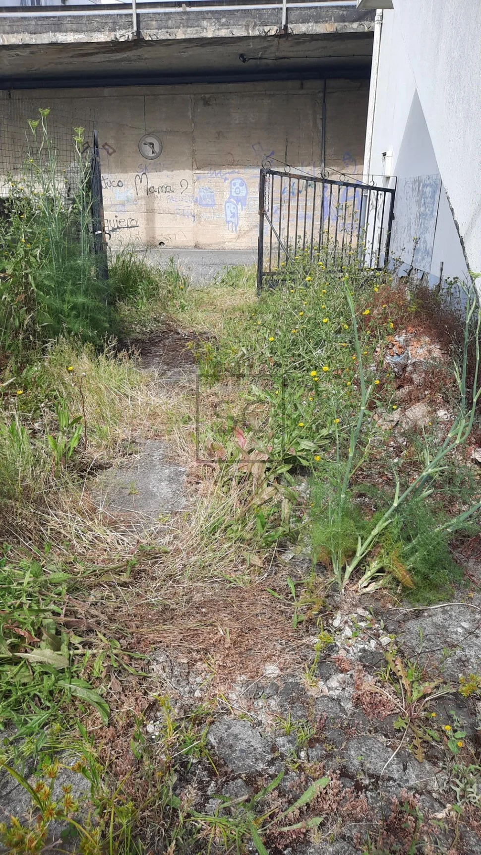 Casa adosada para reforma en freixeiro
