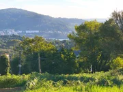 Parcela edificable en laraxe, cabañas