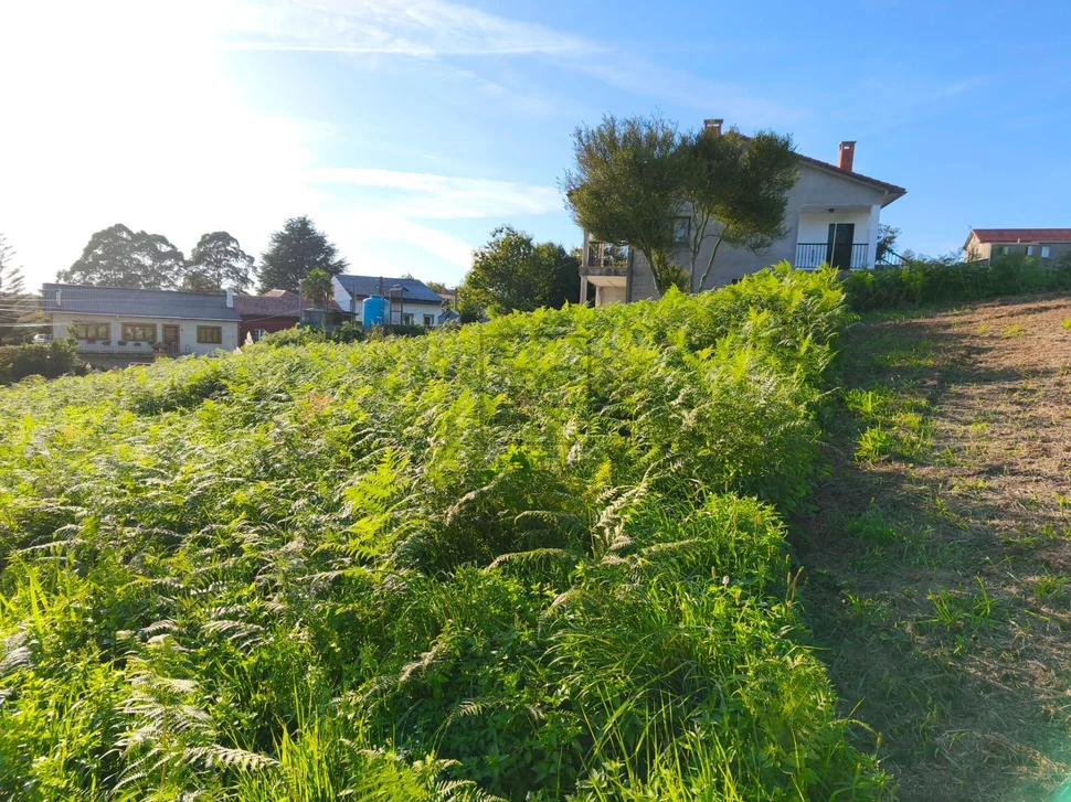 Parcela edificable en laraxe, cabañas