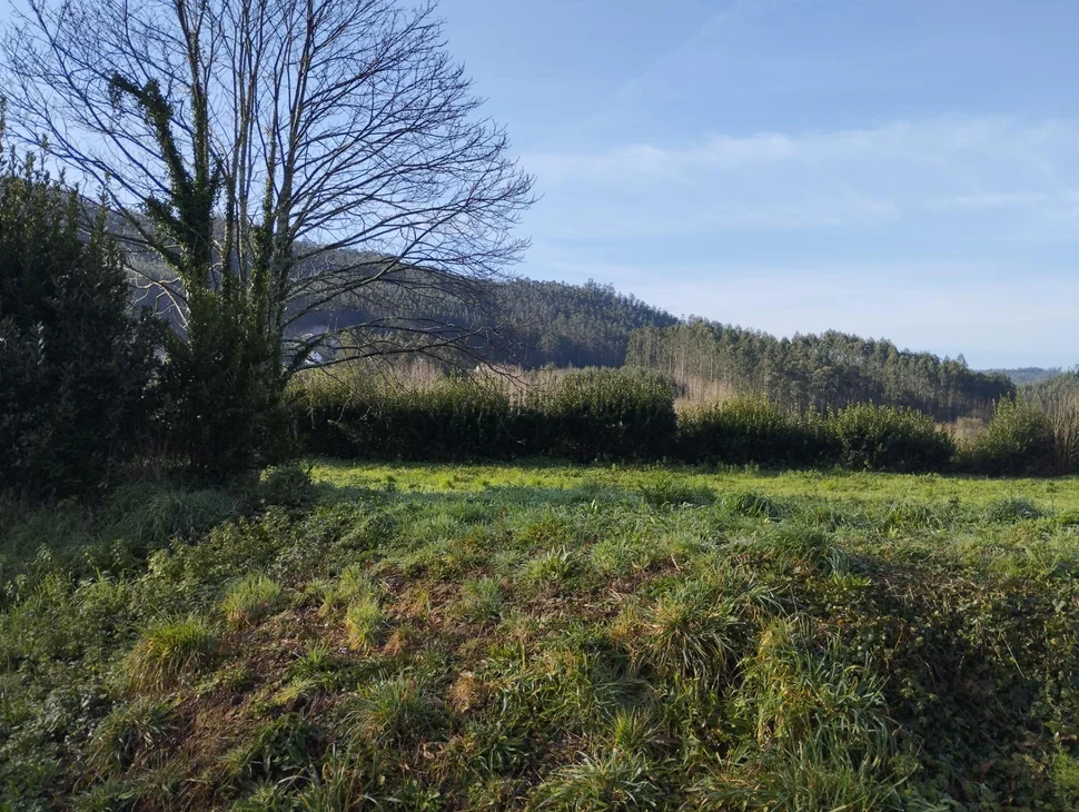 Casa para rehabilitar y gran finca en san román, cedeira