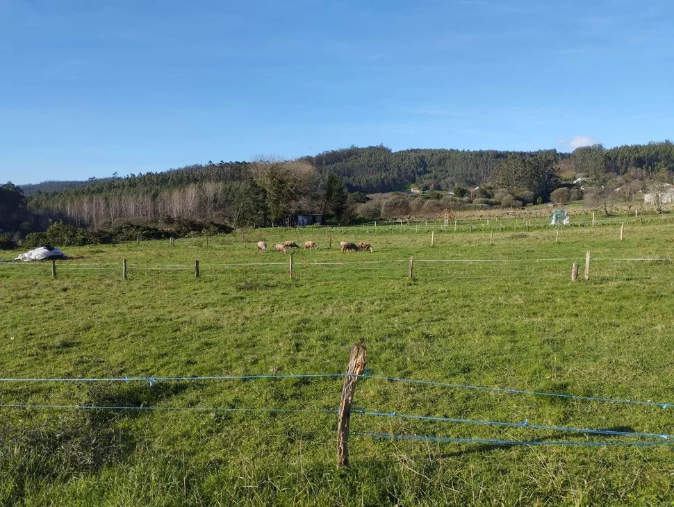 Casa para rehabilitar y gran finca en san román, cedeira