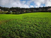 Casa con finca en doso, narón