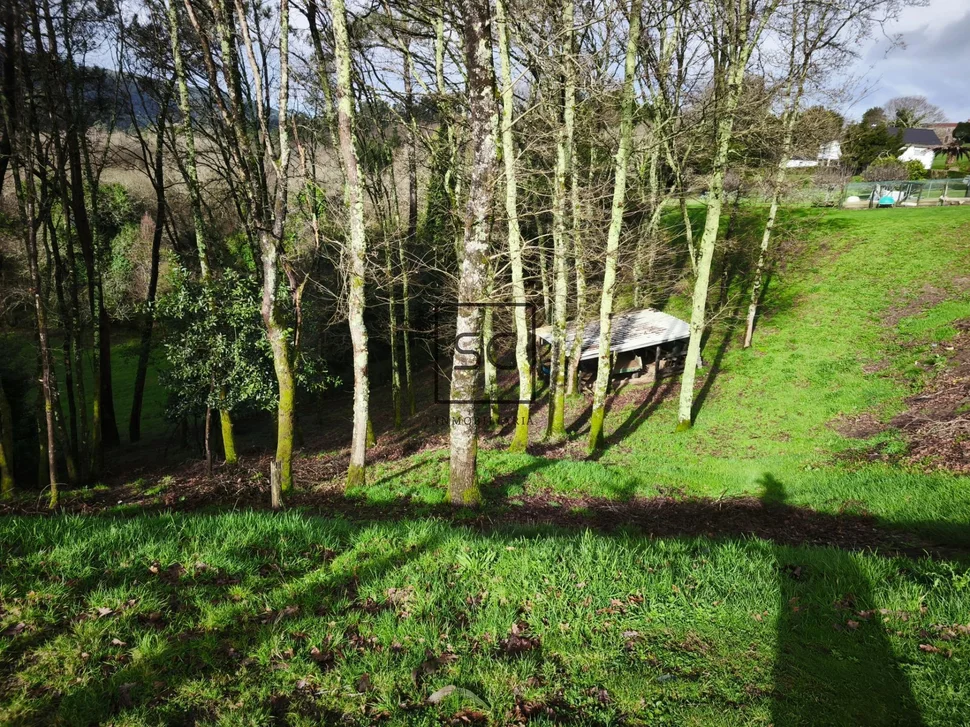 Casa con finca en doso, narón