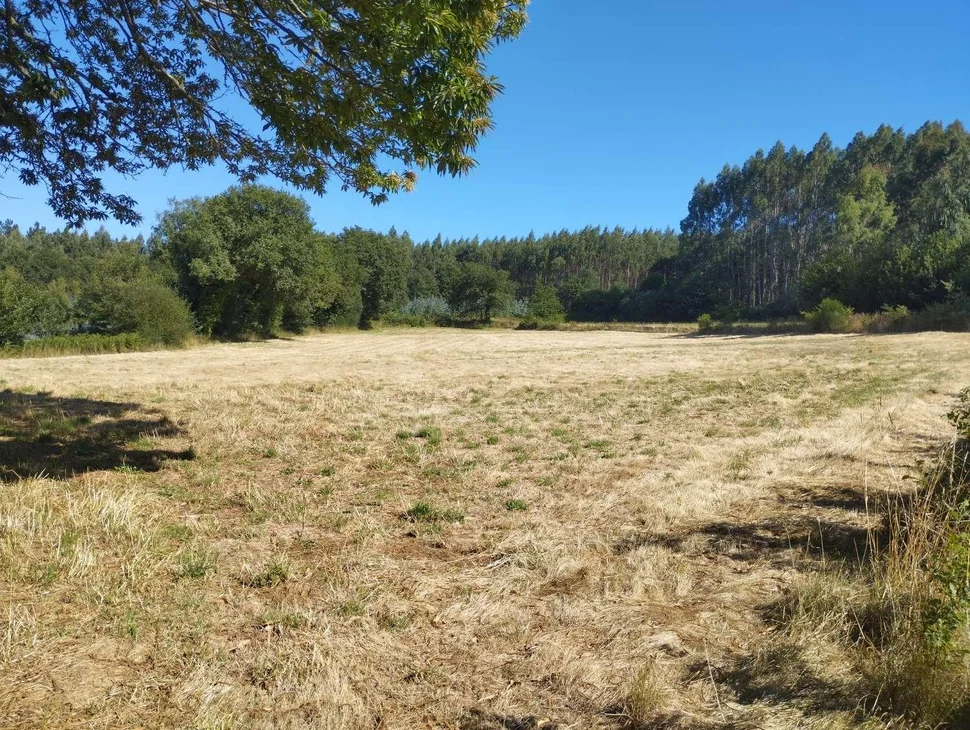 Finca rústica en begonte, lugo