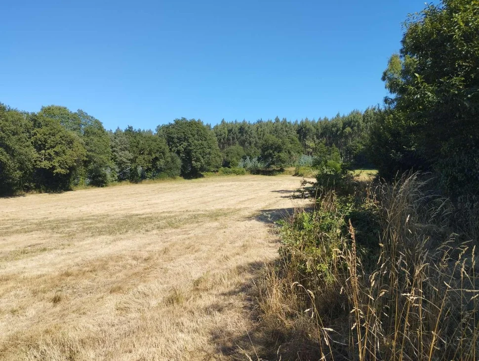 Finca rústica en begonte, lugo