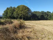Finca rústica en begonte, lugo