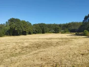 Finca rústica en begonte, lugo
