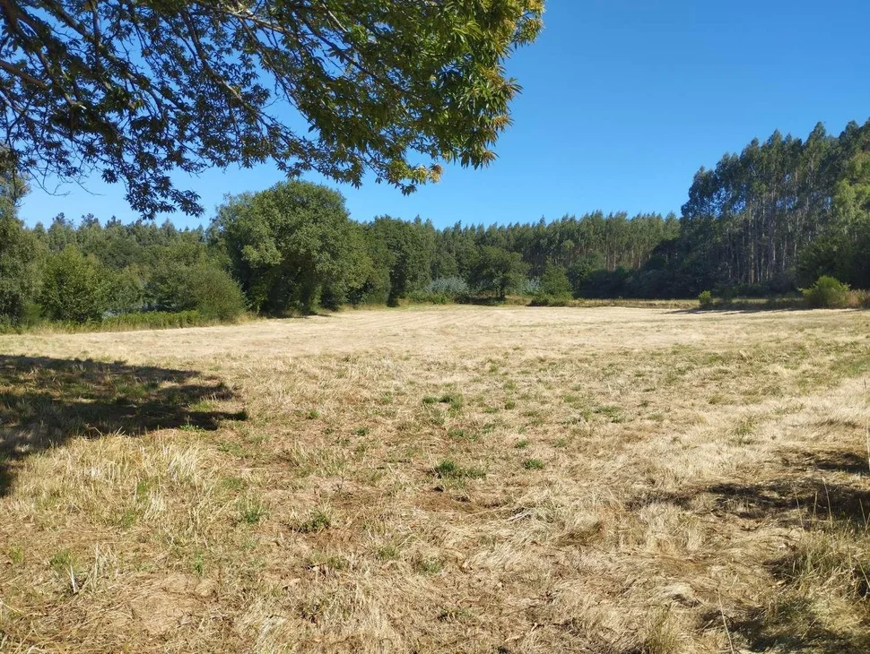 Finca rústica en begonte, lugo