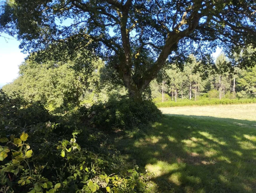 Finca rústica en begonte, lugo