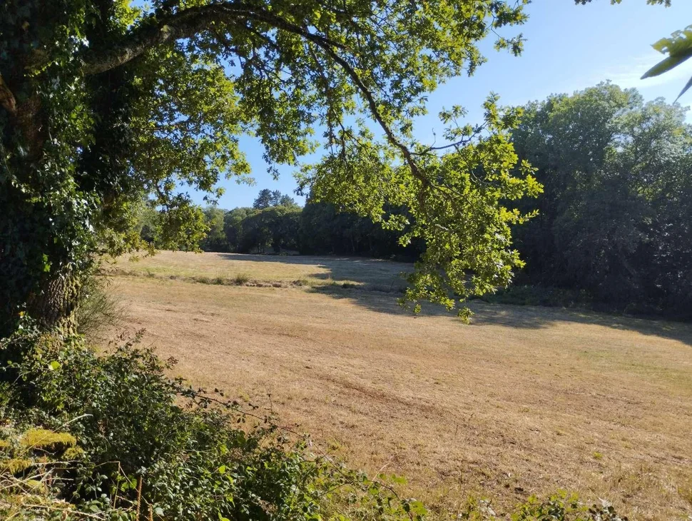 Finca rústica en begonte, lugo