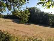 Finca rústica en begonte, lugo