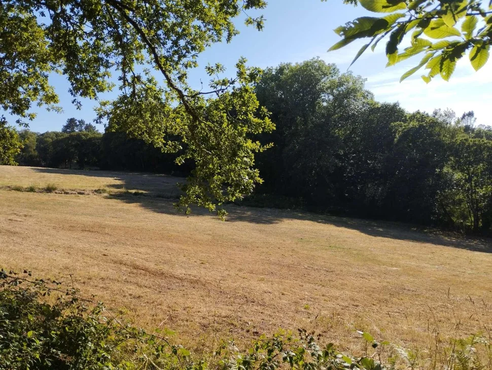 Finca rústica en begonte, lugo
