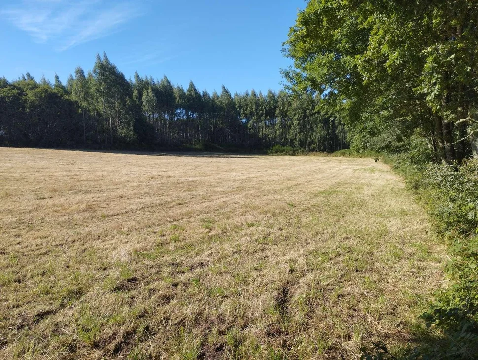 Finca rústica en begonte, lugo