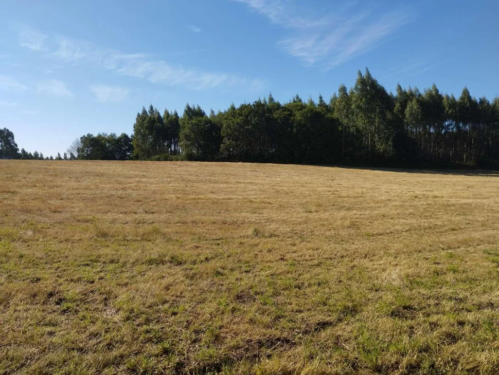 Finca rústica en begonte, lugo
