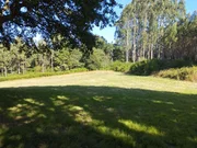 Finca rústica en begonte, lugo
