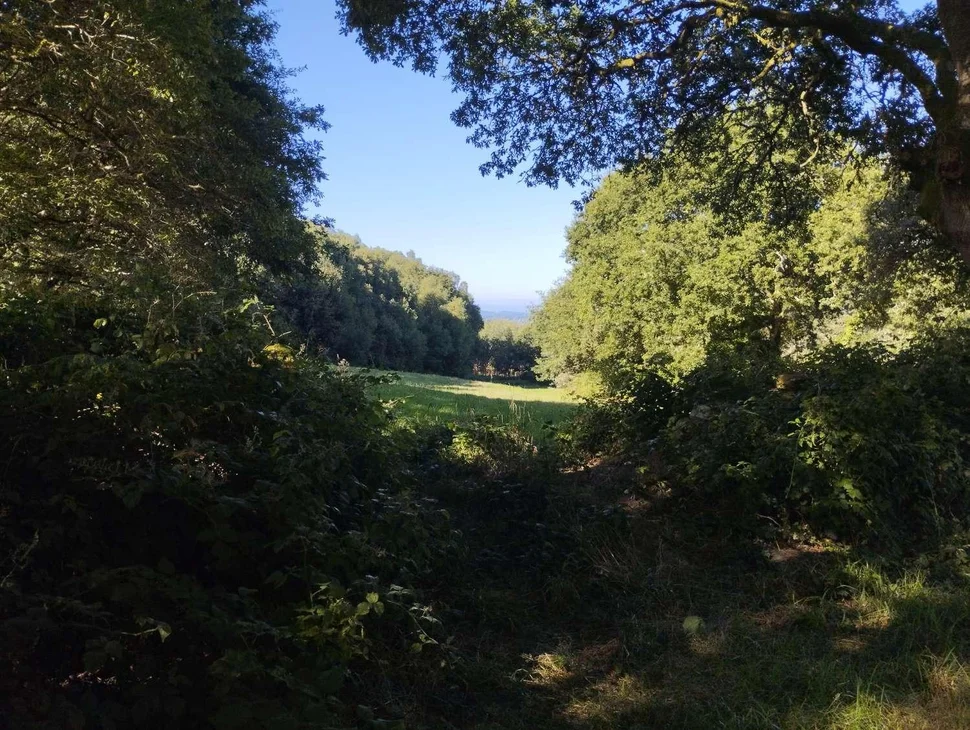 Finca rústica en begonte, lugo