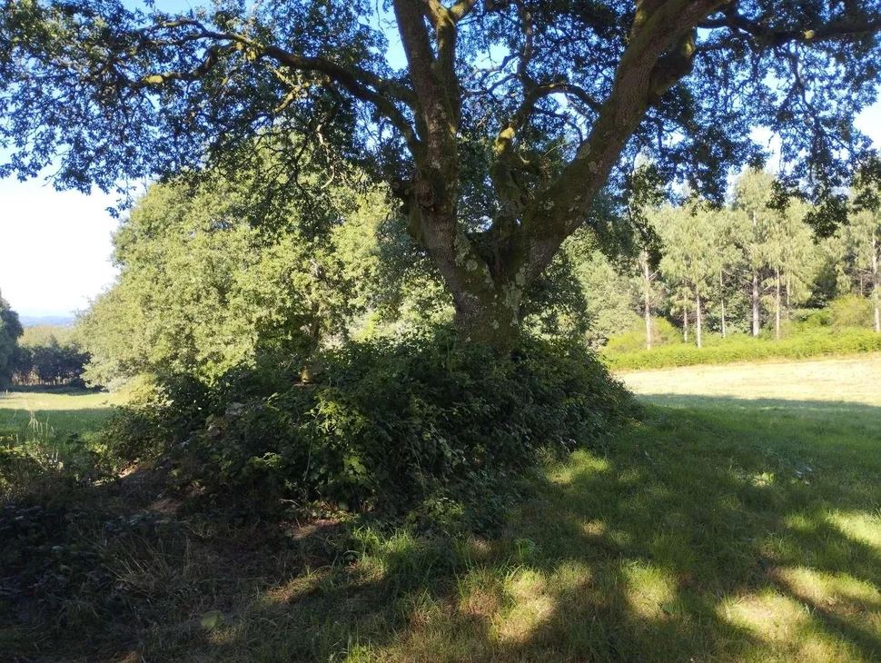Finca rústica en begonte, lugo
