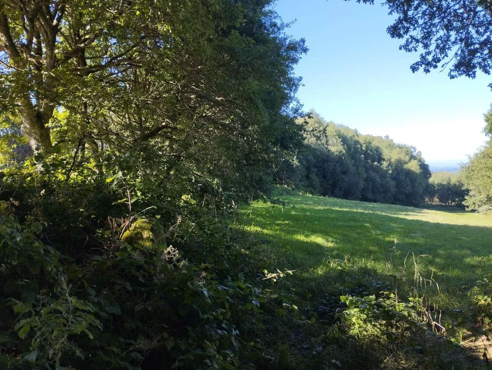 Finca rústica en begonte, lugo