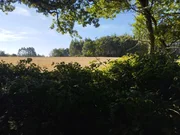 Finca rústica en begonte, lugo