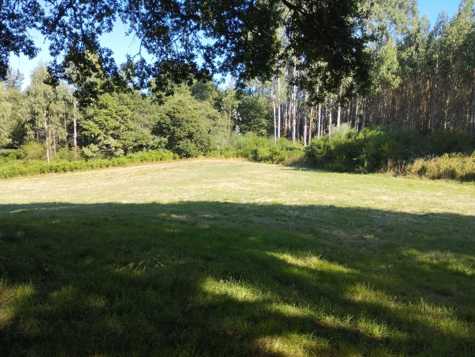 Finca rústica en begonte, lugo