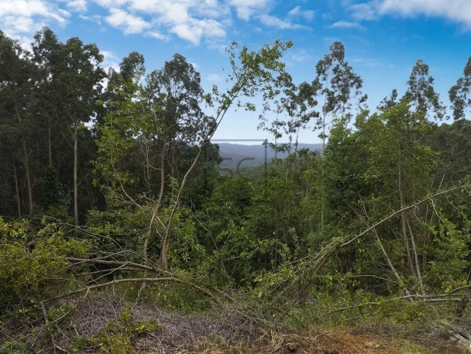 Casa para rehabilitar en cerdido