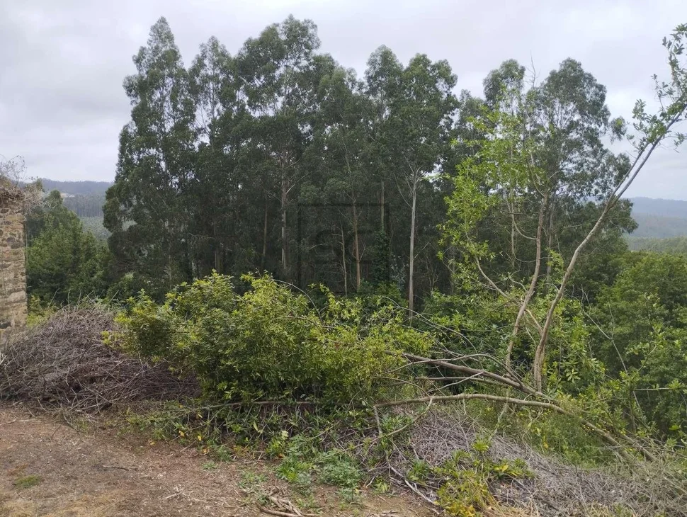 Casa para rehabilitar en cerdido