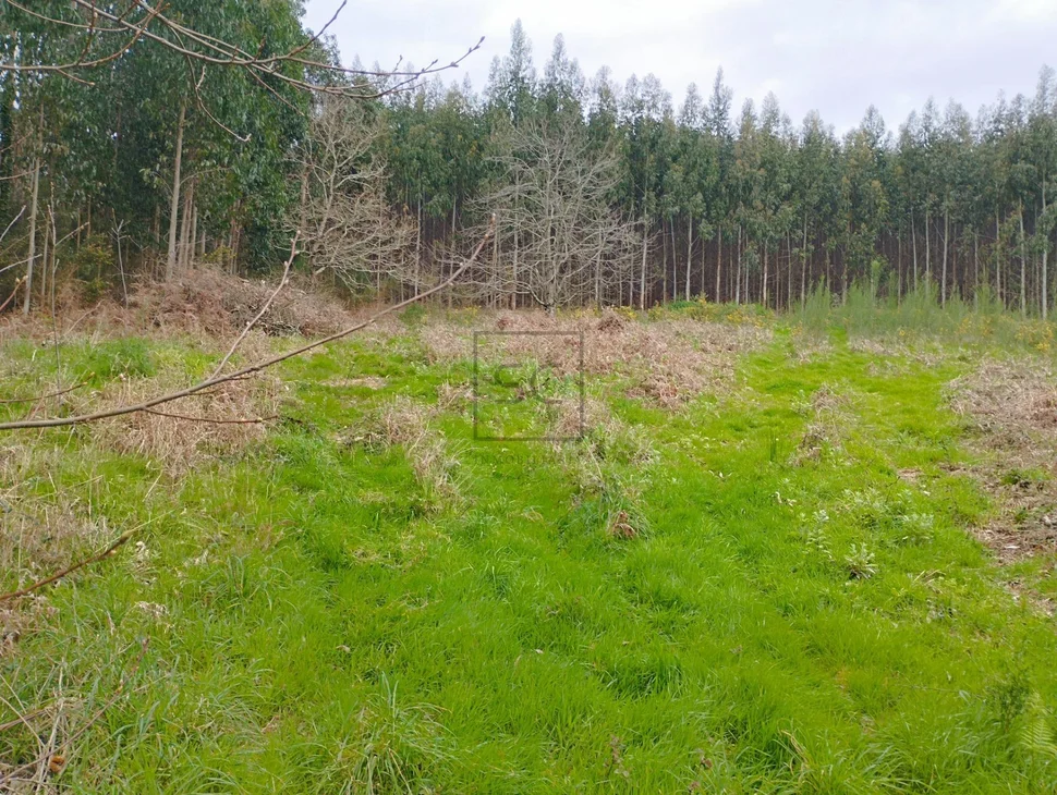 Casa para rehabilitar en vilaboa, valdoviño