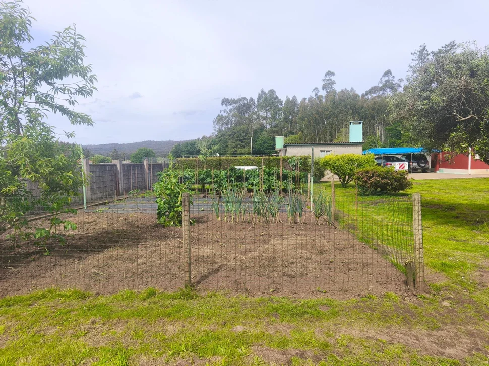 Casa con finca y bodegas en Monfero