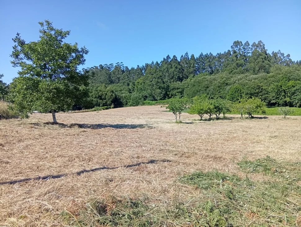 Terreno urbano en Laraxe, Cabanas.