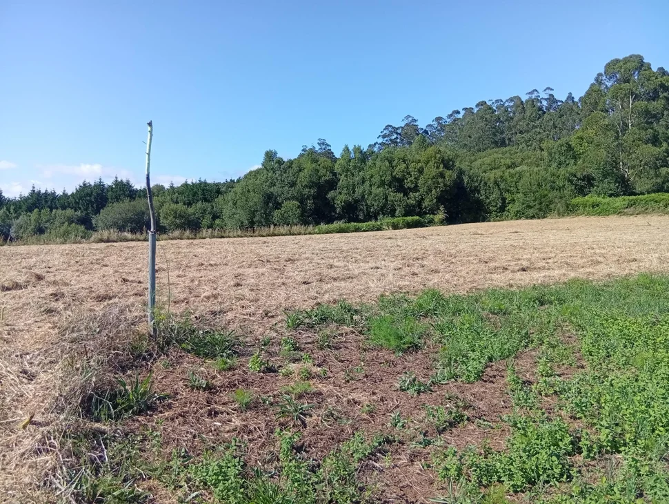 Terreno urbano en Laraxe, Cabanas.