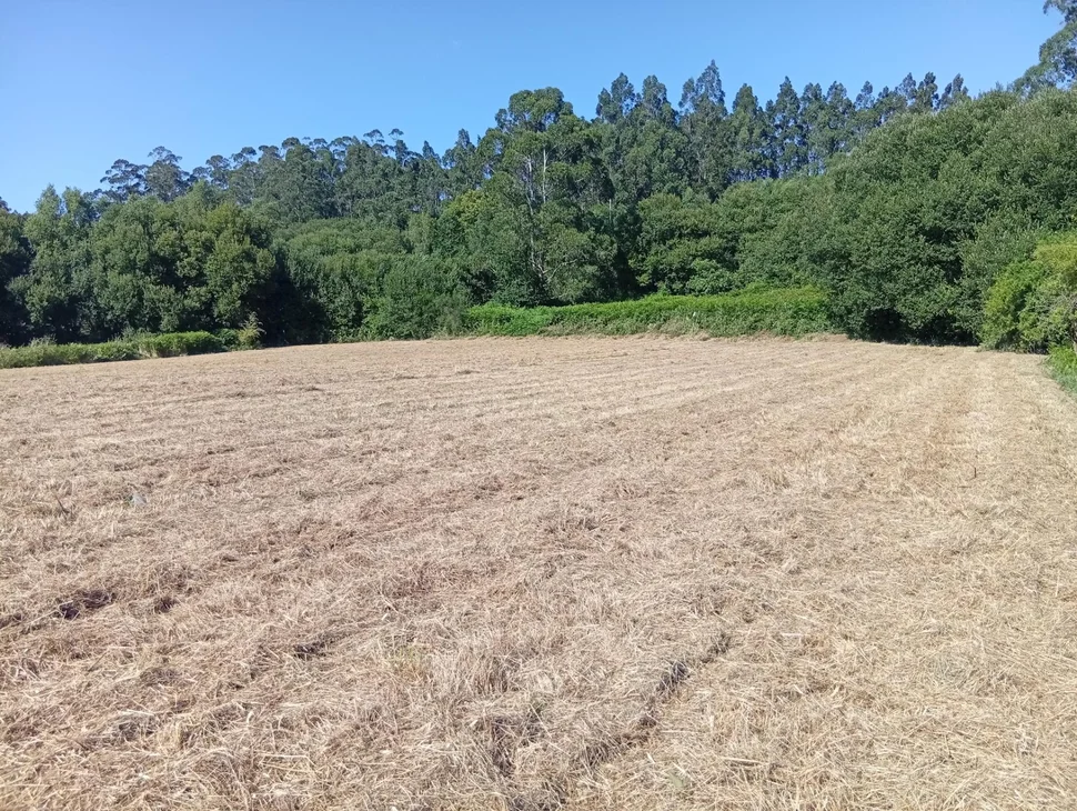 Terreno urbano en Laraxe, Cabanas.