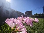 Casa para reformar en Magalofes, Fene.